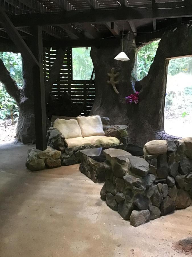 Rainforest Hideaway Cape Tribulation Exterior foto