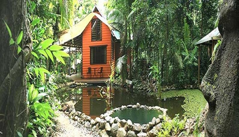 Rainforest Hideaway Cape Tribulation Cameră foto